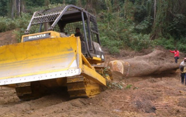 金沙9159游乐场(中国)有限公司-BinG百科